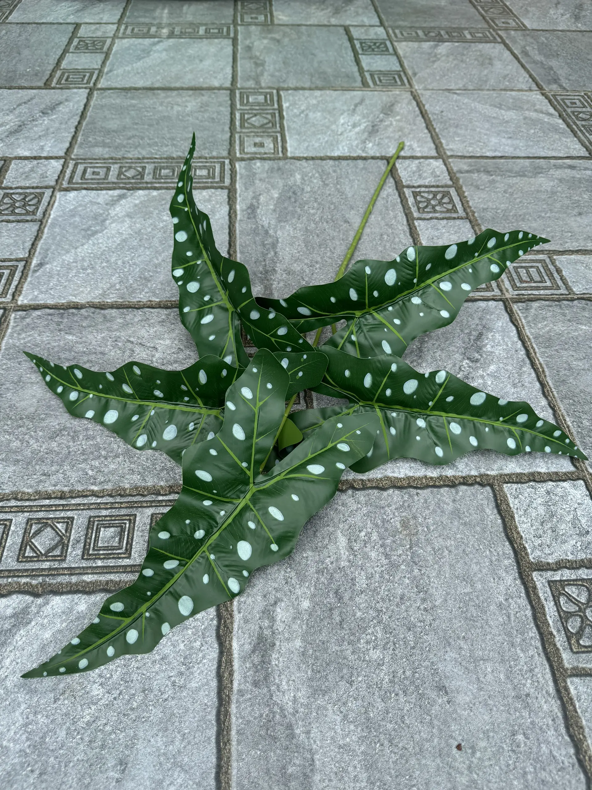 Điểm Lá Khoai - Ảnh 9