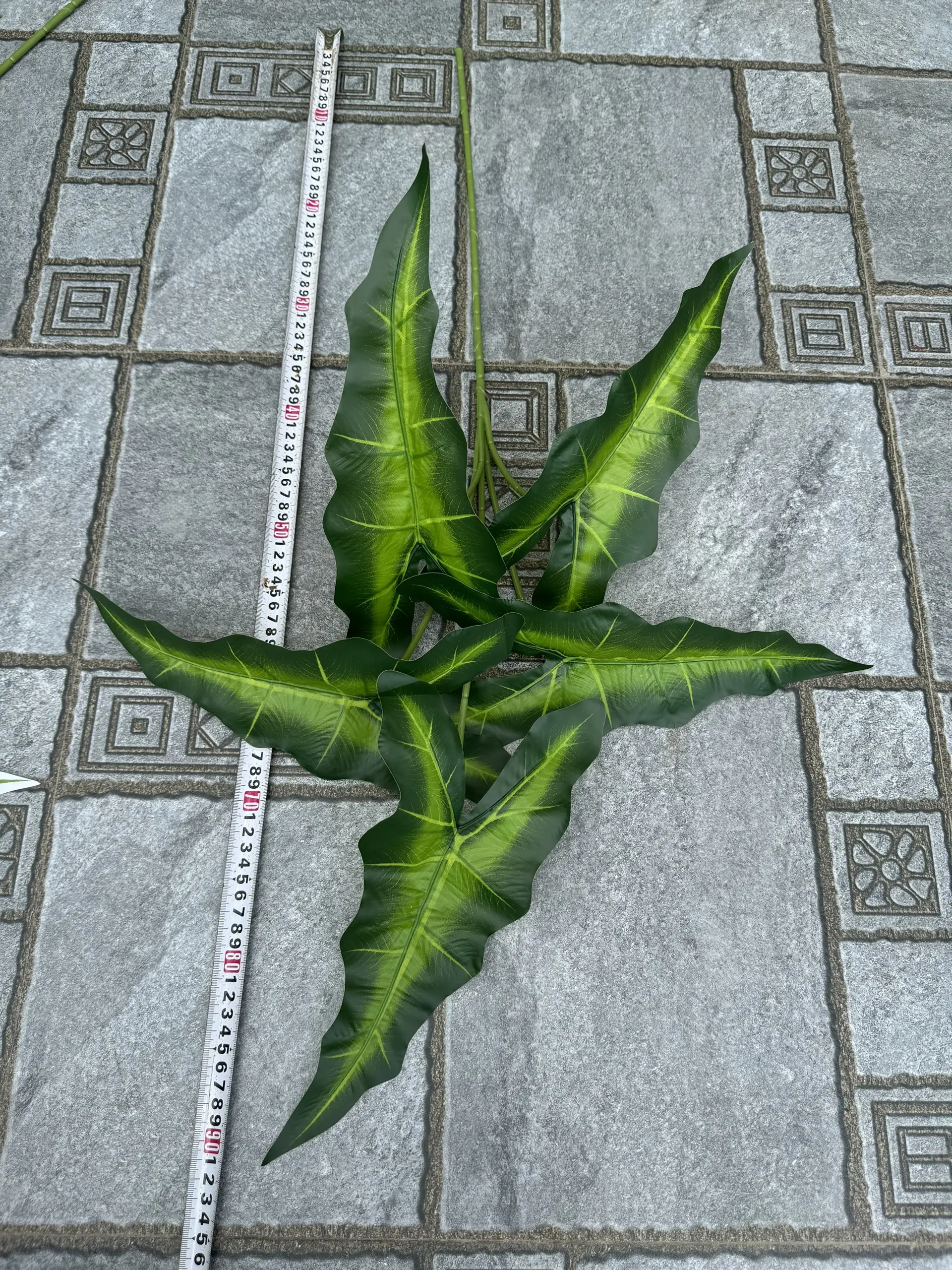 Điểm Lá Khoai - Ảnh 11