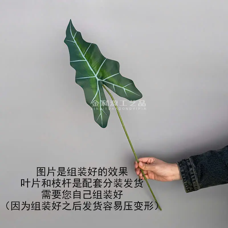 Điểm Lá Khoai Môn Đơn - Ảnh 2