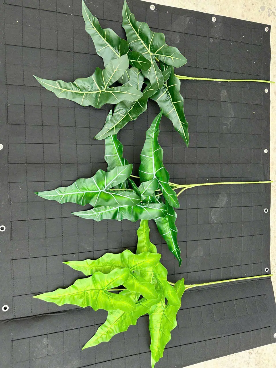 Điểm Lá Khoai Môn Lá - Ảnh 2