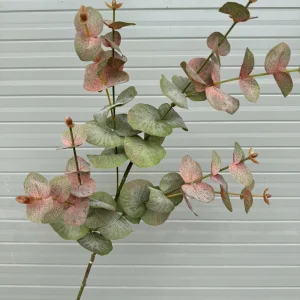 Điểm Lá Khuynh Diệp Víp