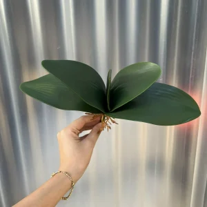 Điểm Lá Lan Loại