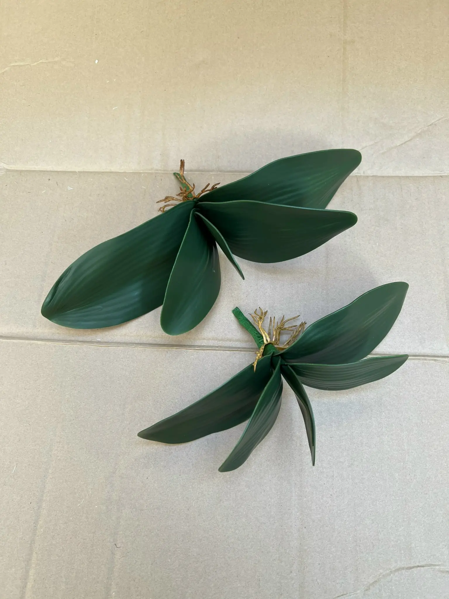 Điểm Lá Lan Loại - Ảnh 2