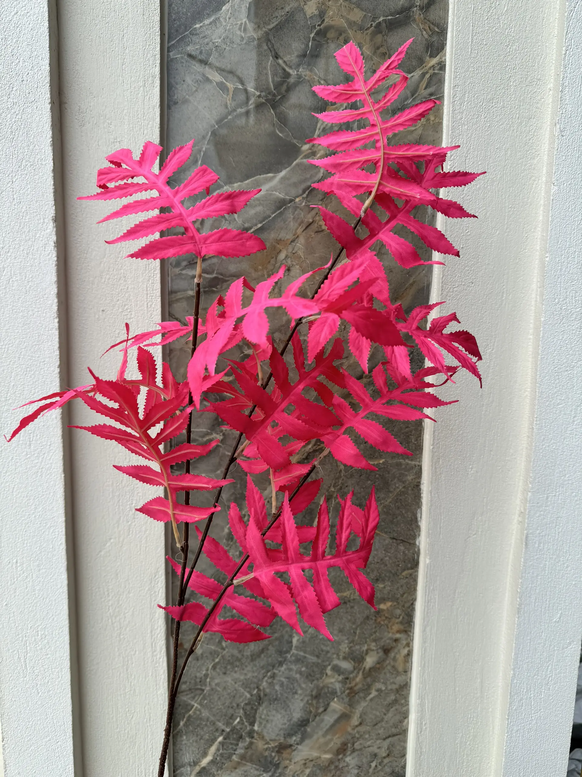 Điểm Lá Me - Ảnh 4