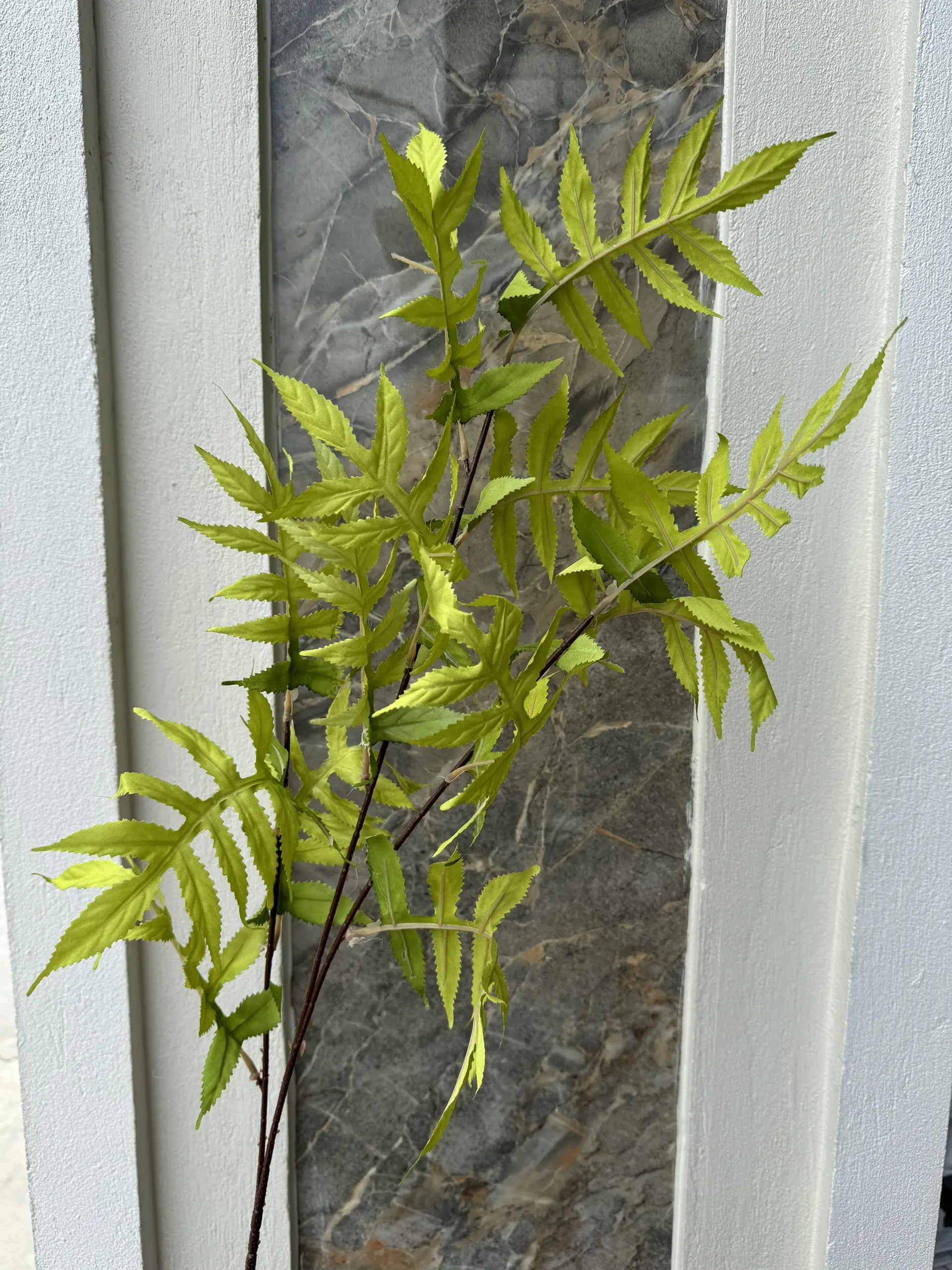 Điểm Lá Me - Ảnh 5