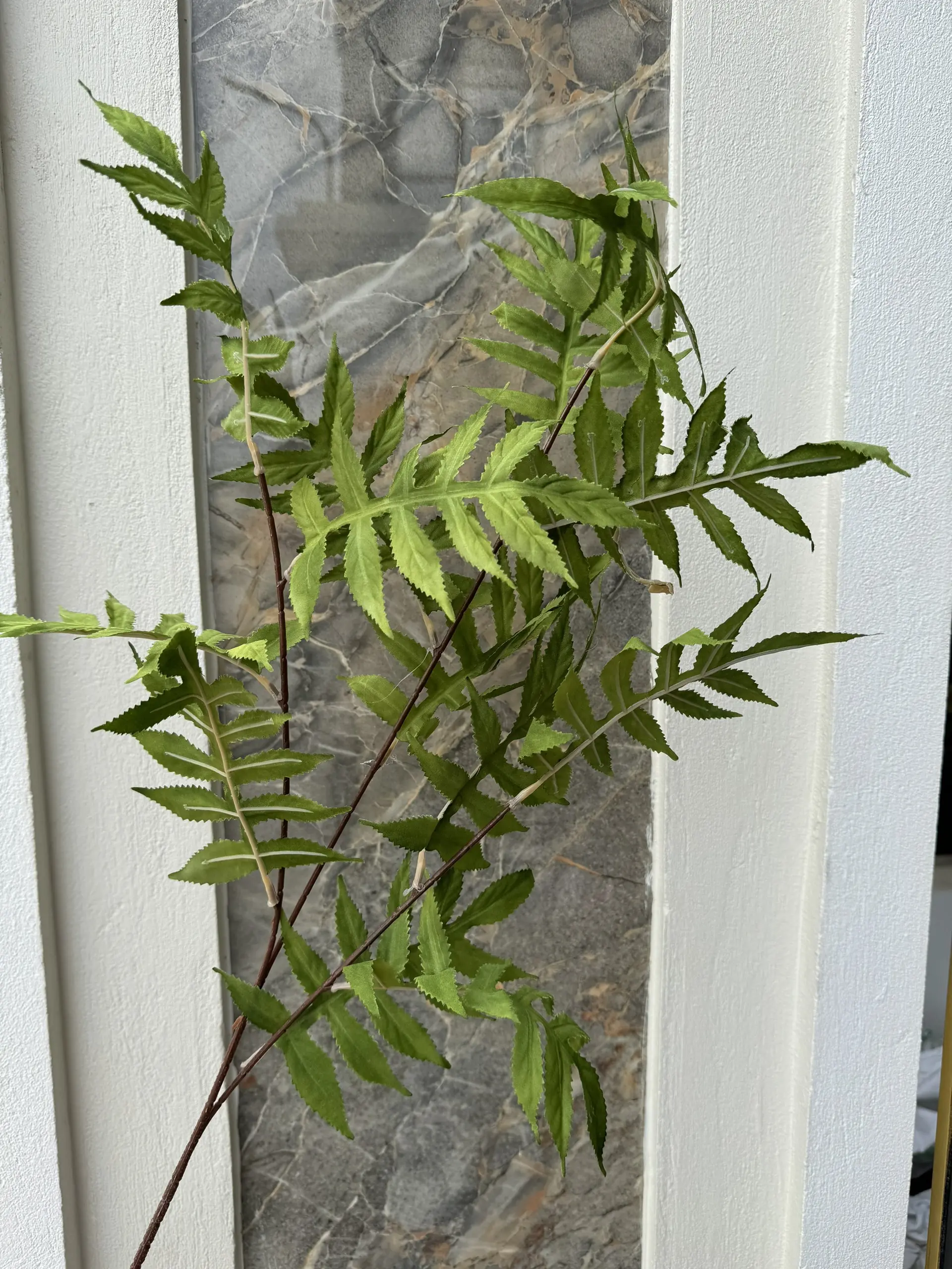 Điểm Lá Me - Ảnh 12