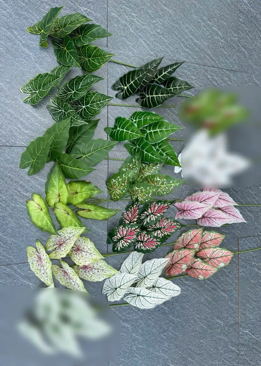 Điểm Lá Môn 5 Lá - Ảnh 5