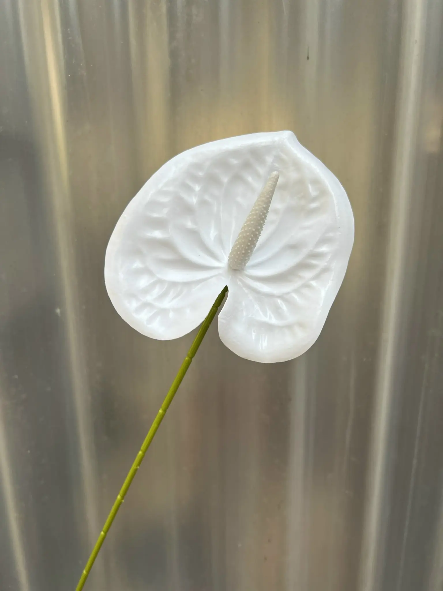 Điểm Lá Môn Bé - Ảnh 2