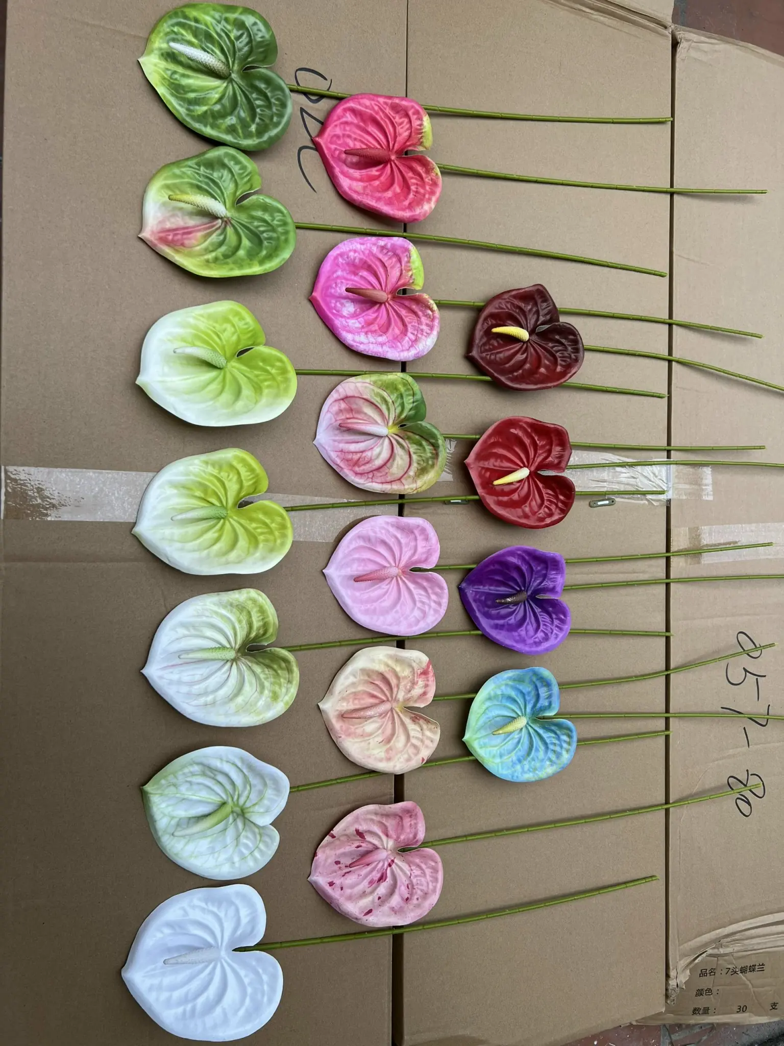 Điểm Lá Môn Bé - Ảnh 8