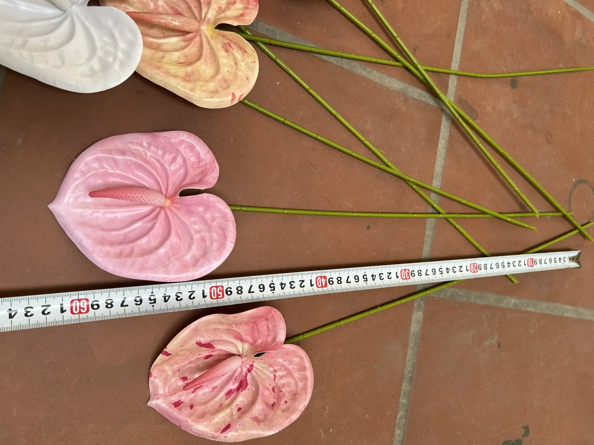 Điểm Lá Môn Bé - Ảnh 9