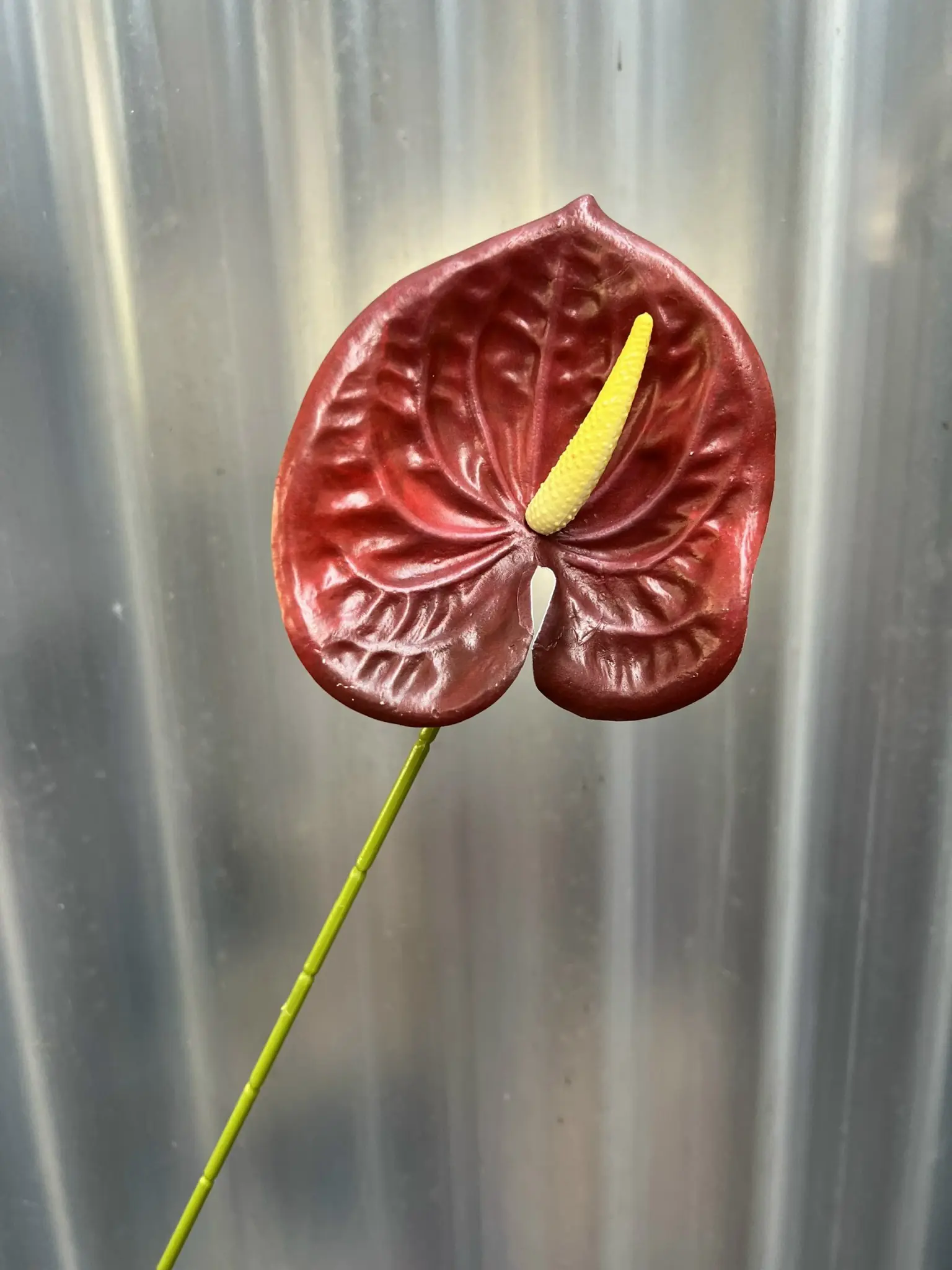 Điểm Lá Môn Bé - Ảnh 13