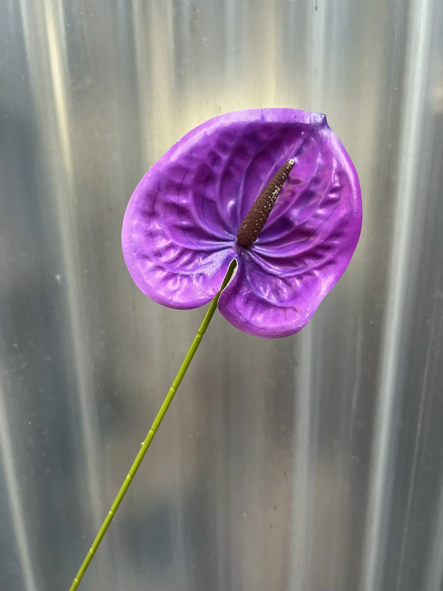 Điểm Lá Môn Bé - Ảnh 15