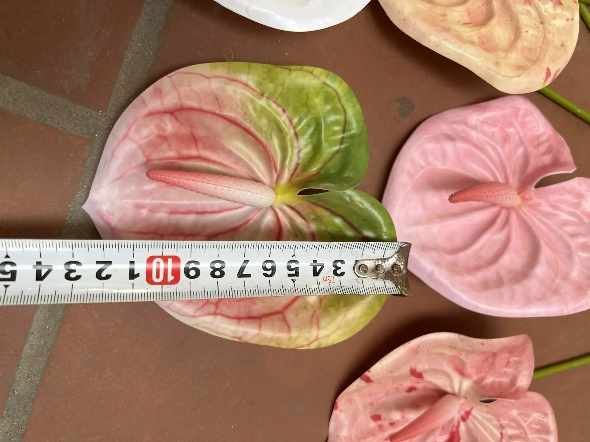 Điểm Lá Môn Bé - Ảnh 19