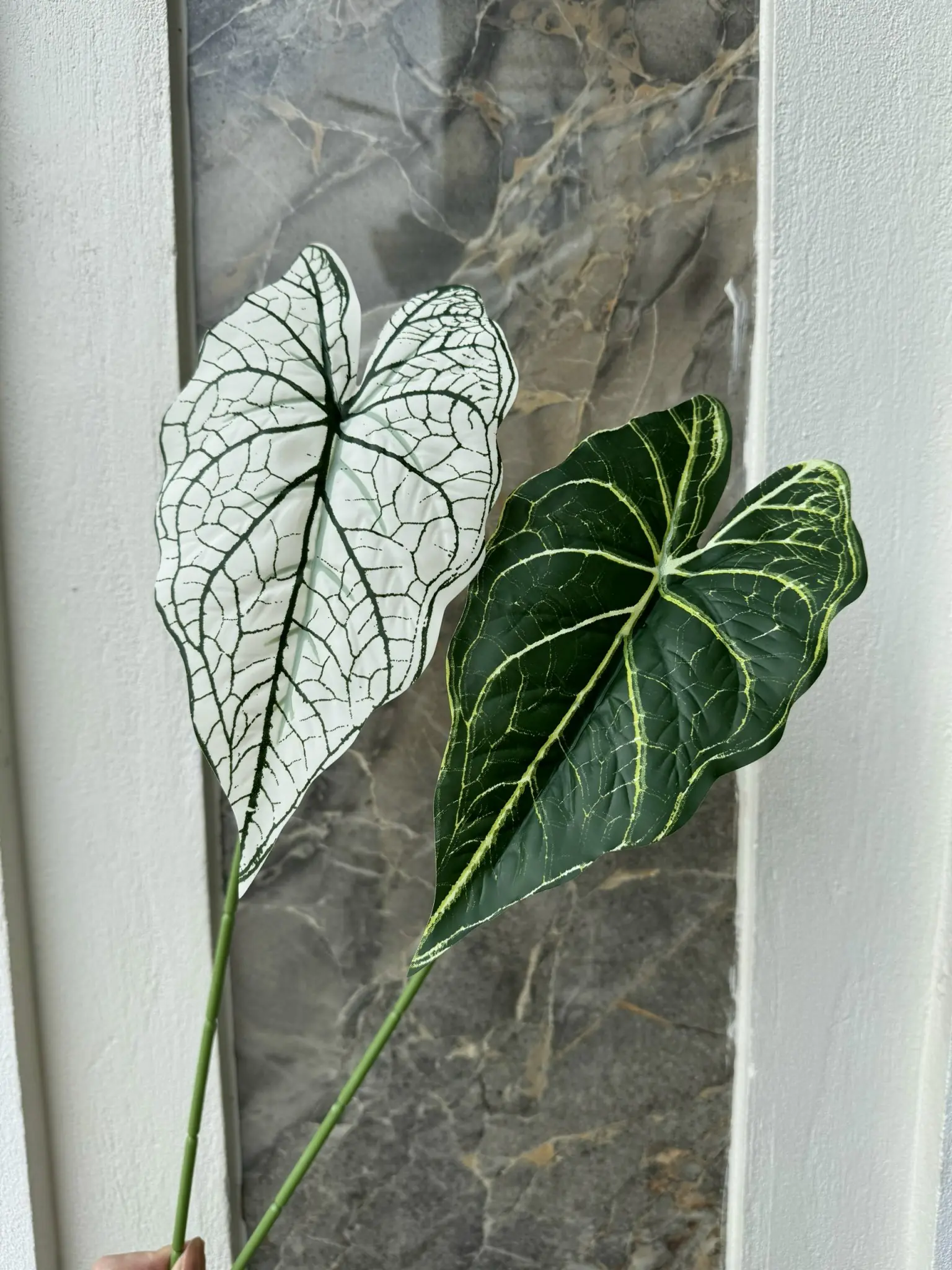 Điểm Lá Môn Đơn - Ảnh 2