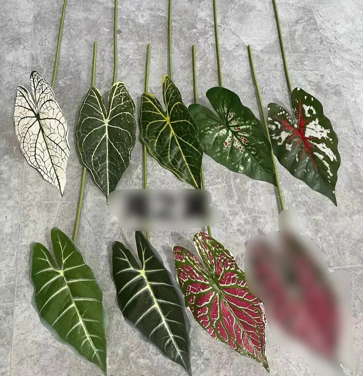 Điểm Lá Môn Đơn - Ảnh 3