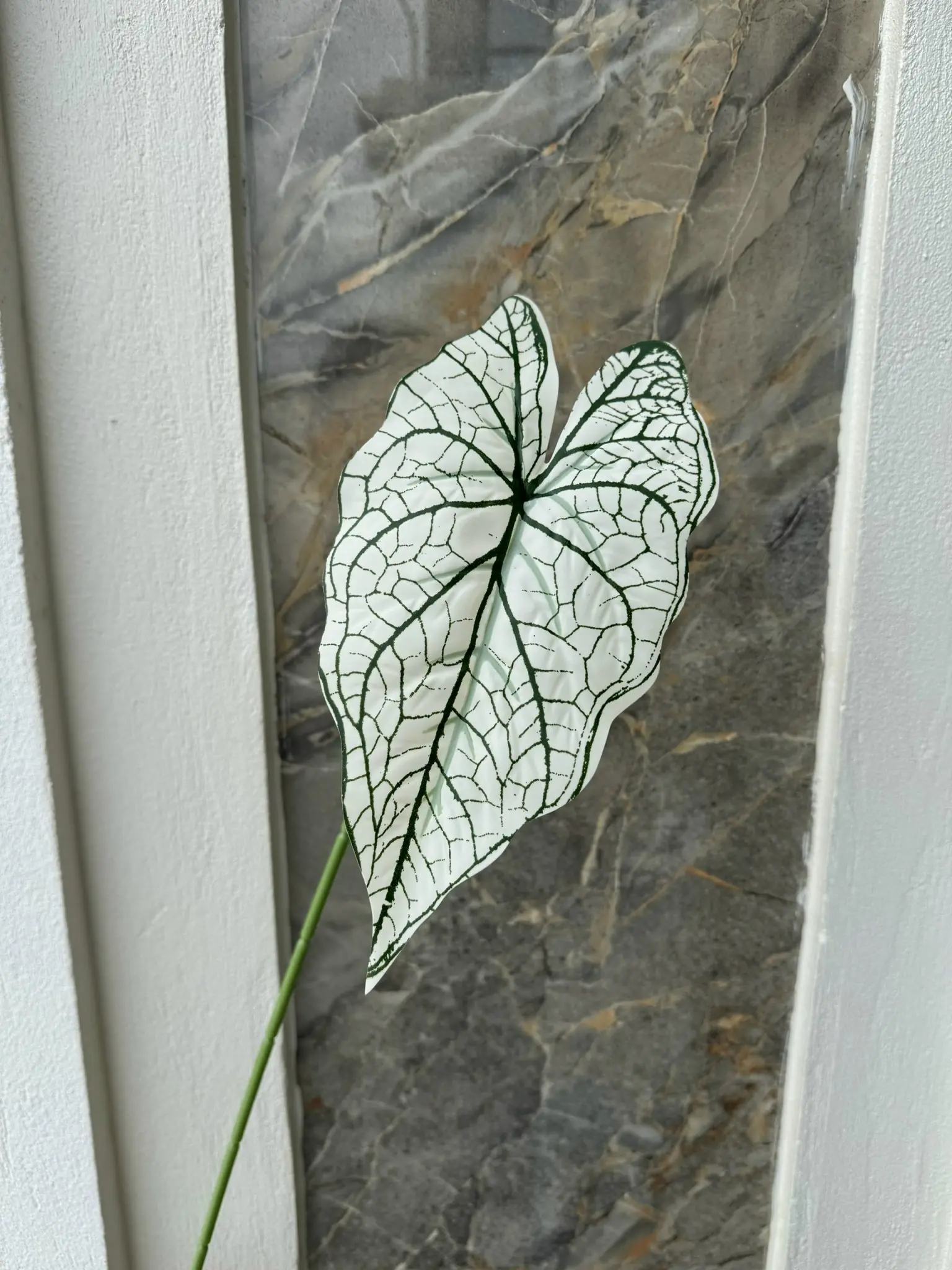 Điểm Lá Môn Đơn - Ảnh 4