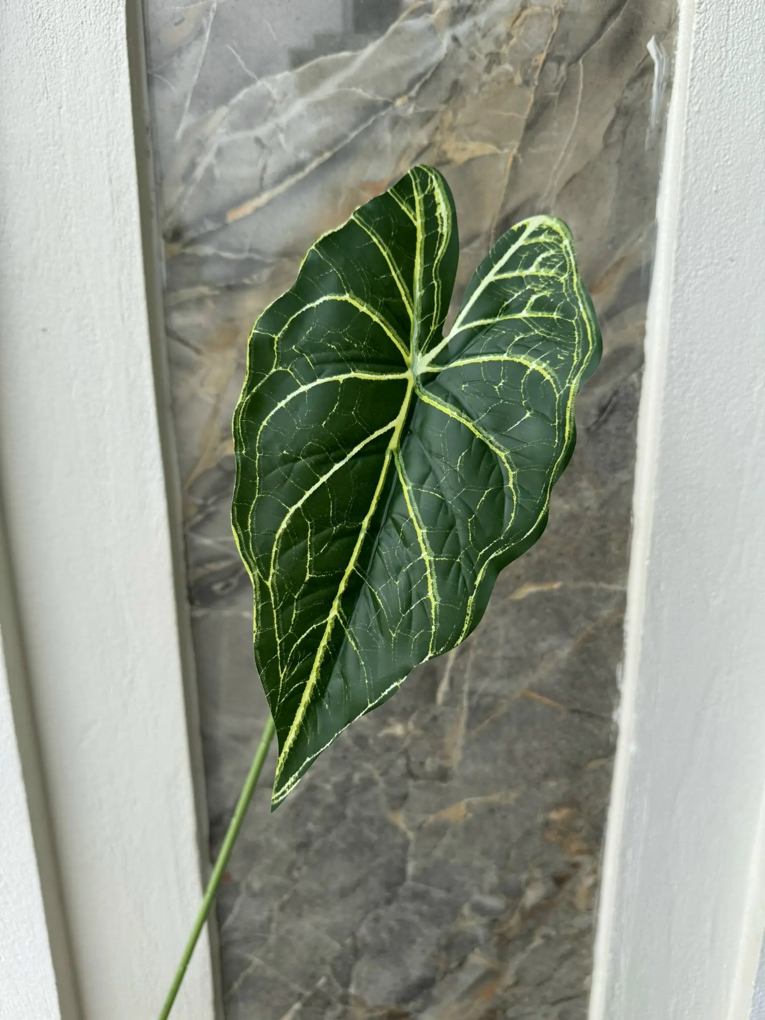 Điểm Lá Môn Đơn - Ảnh 5