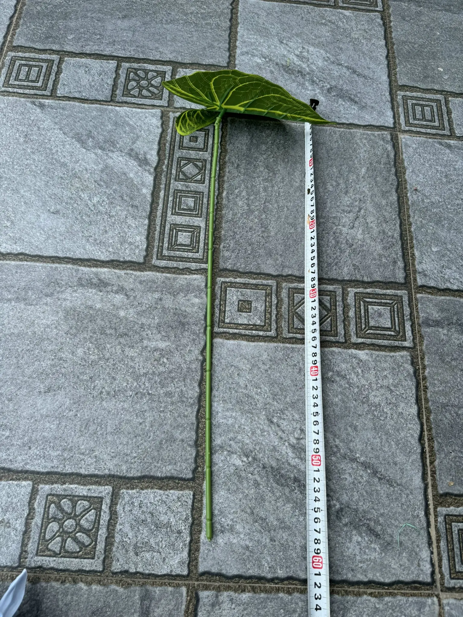 Điểm Lá Môn Đơn - Ảnh 6