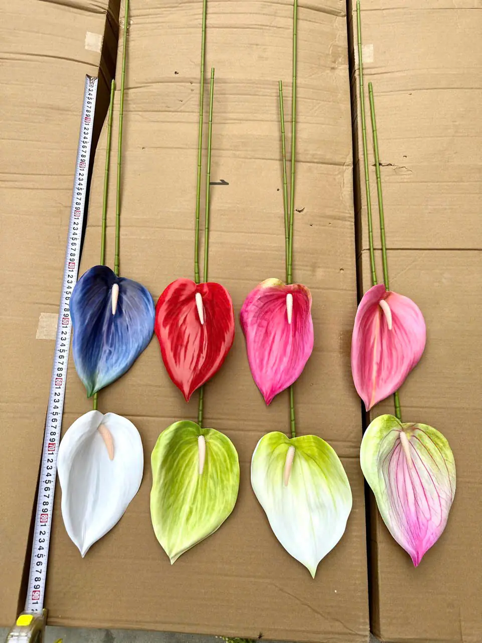 Điểm Lá Môn Tây Đại 20Cm - Ảnh 3