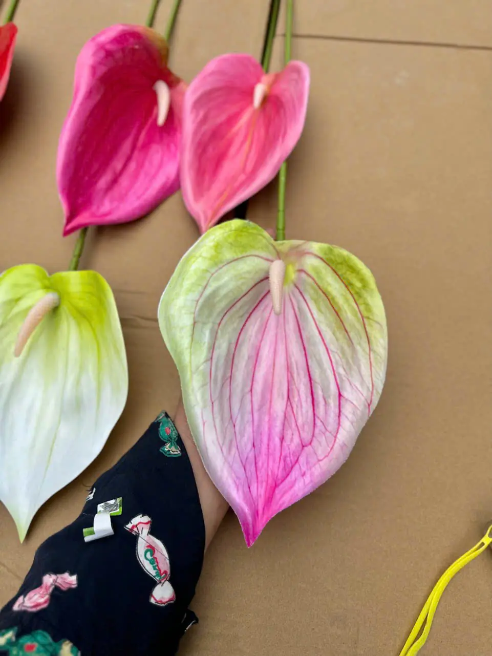 Điểm Lá Môn Tây Đại 20Cm - Ảnh 4