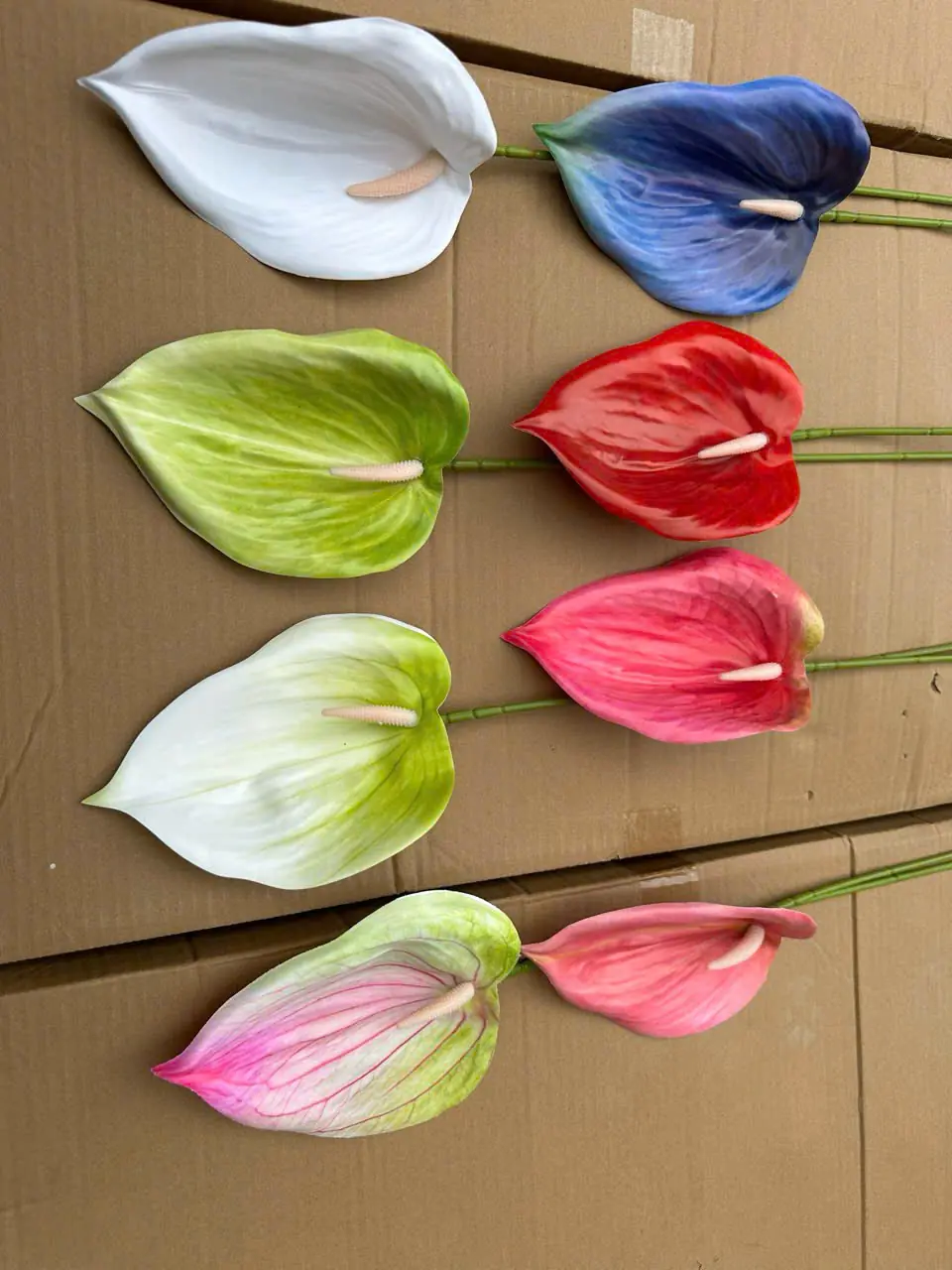 Điểm Lá Môn Tây Đại 20Cm - Ảnh 8