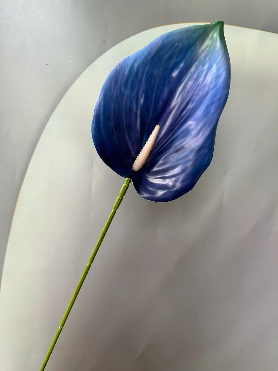 Điểm Lá Môn Tây Đại 20Cm - Ảnh 9