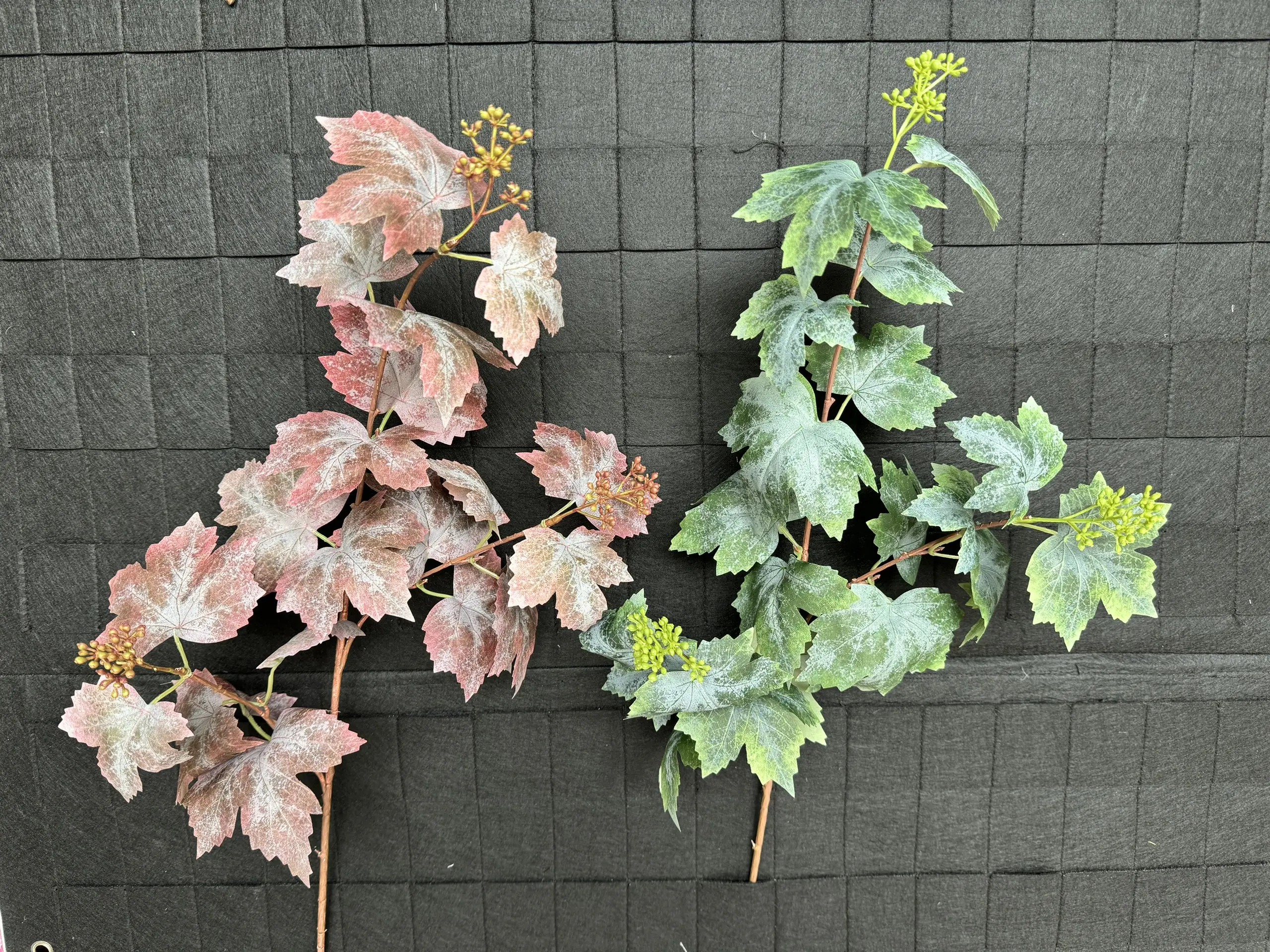 Điểm Lá Nho - Ảnh 2