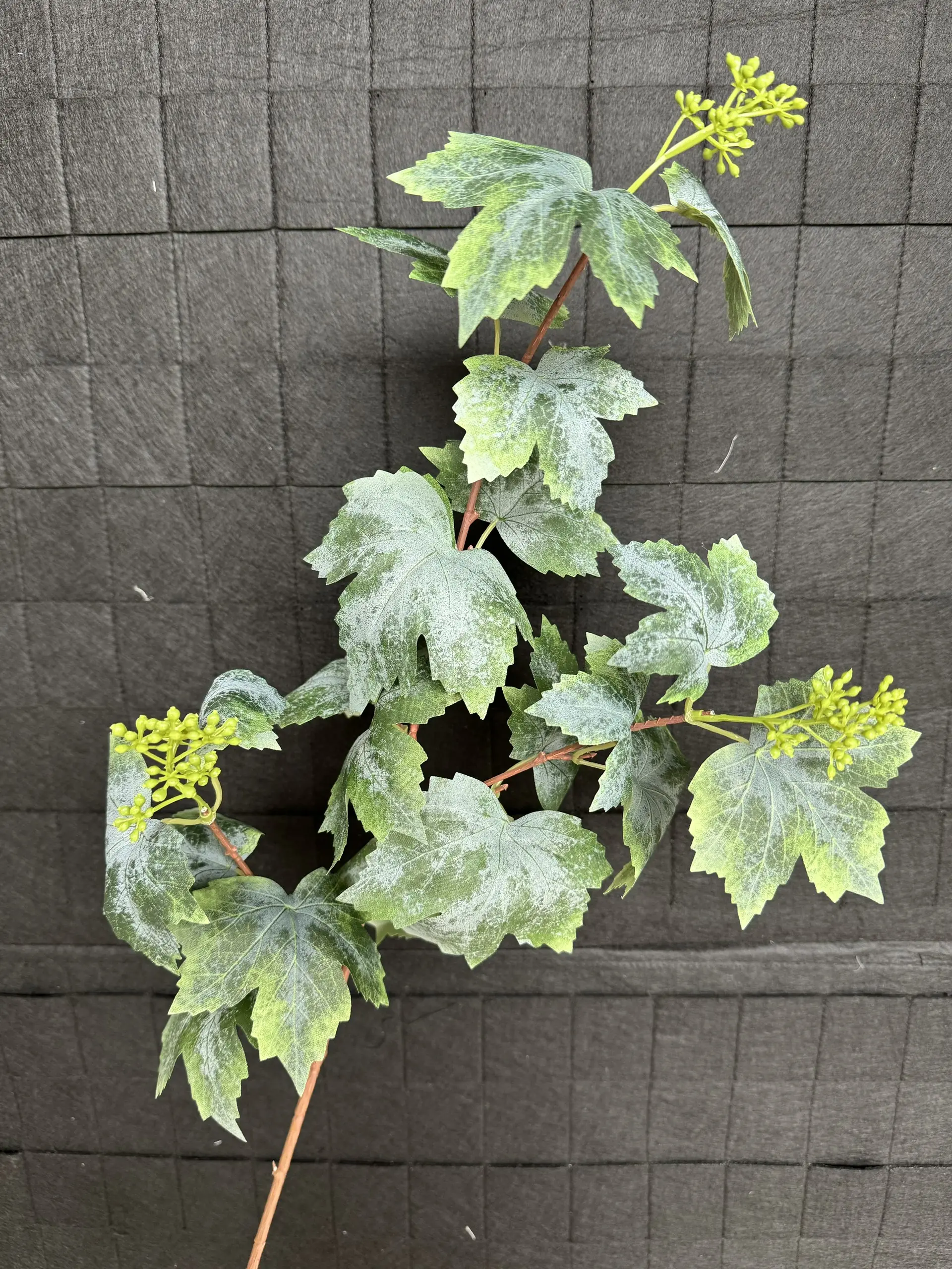 Điểm Lá Nho - Ảnh 4