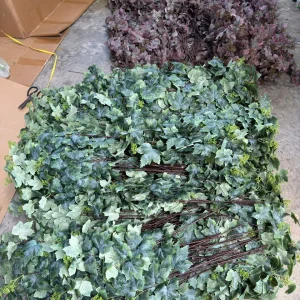 Điểm Lá Nho Mốc 3 Nhánh