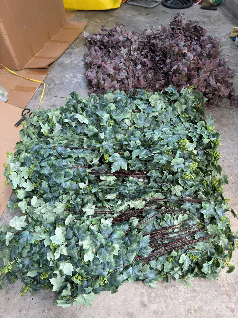 Điểm Lá Nho Mốc 3 Nhánh