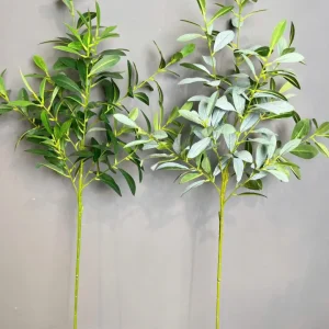 Điểm Lá Oliu Hàng Đẹp 10 Nhánh