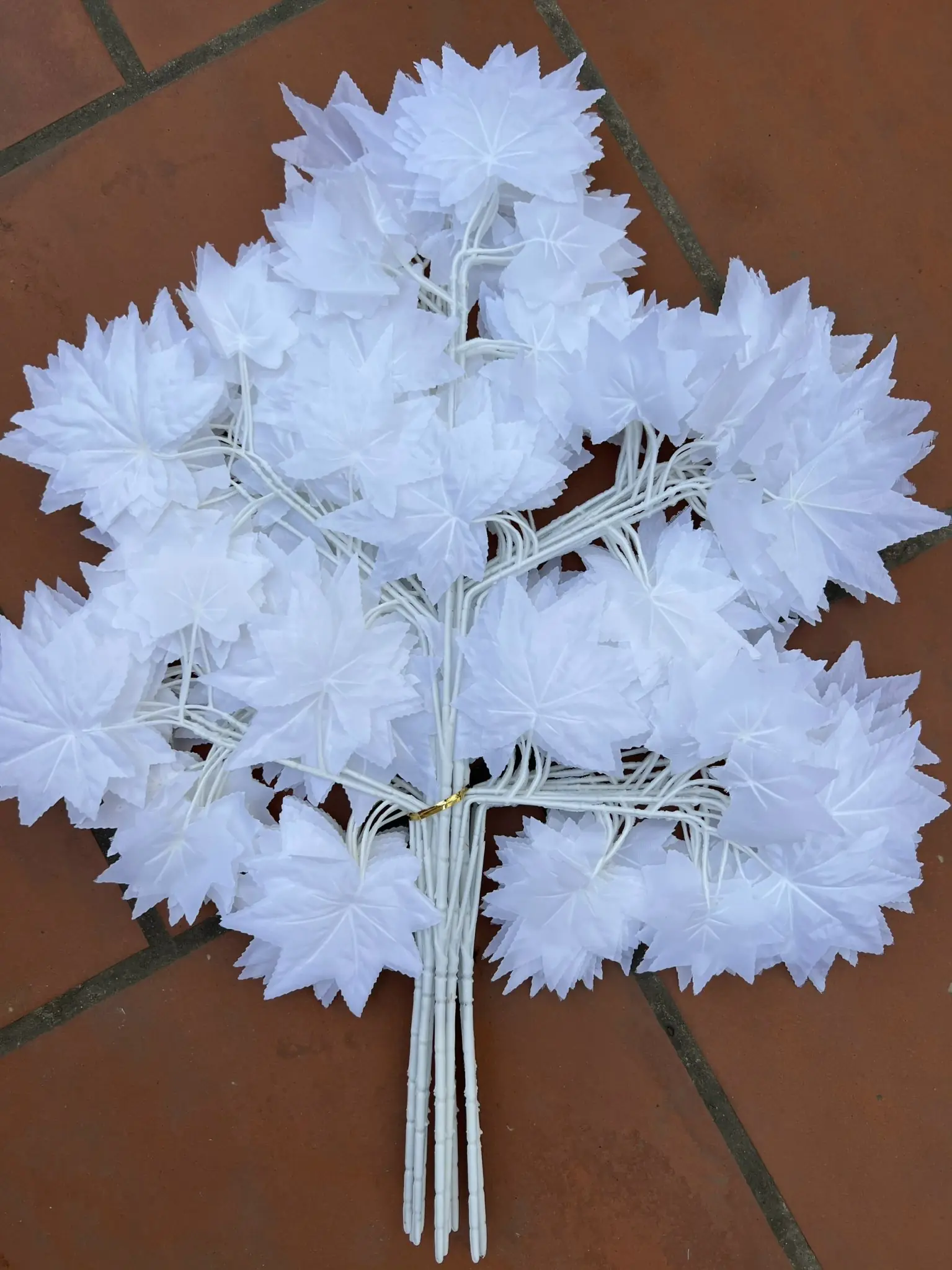 Điểm Lá Phong Bó