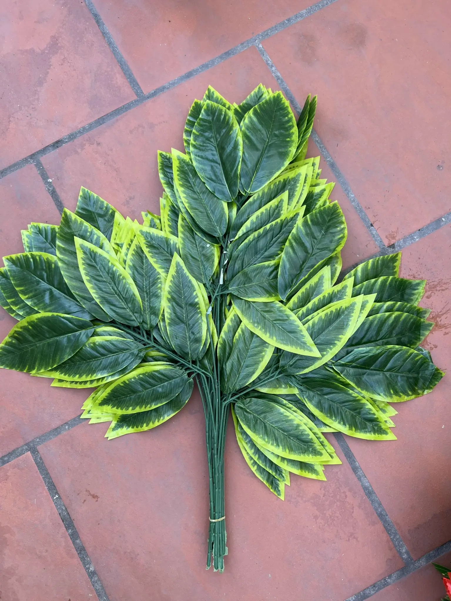 Điểm Lá Phong Bó - Ảnh 5