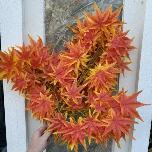 Điểm Lá Phong Cao Su