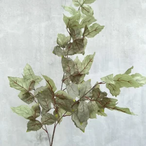 Điểm Lá Phong Loại