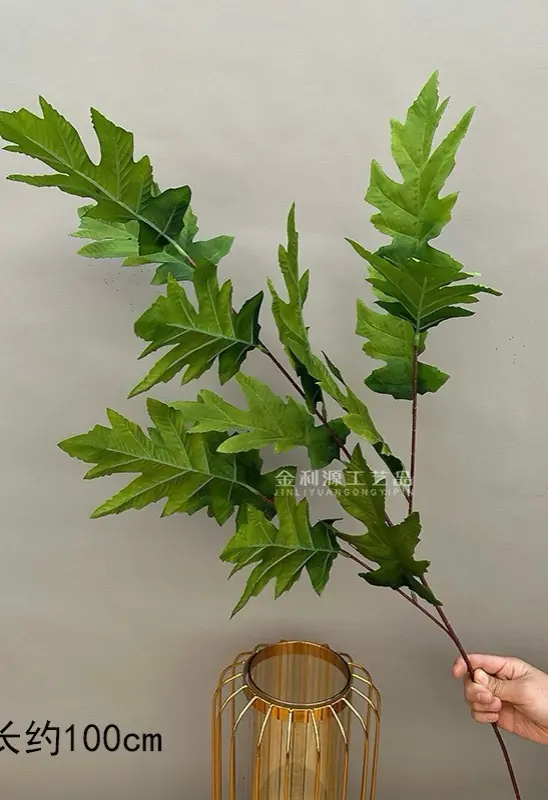 Điểm Lá Răng Cưa - Ảnh 4