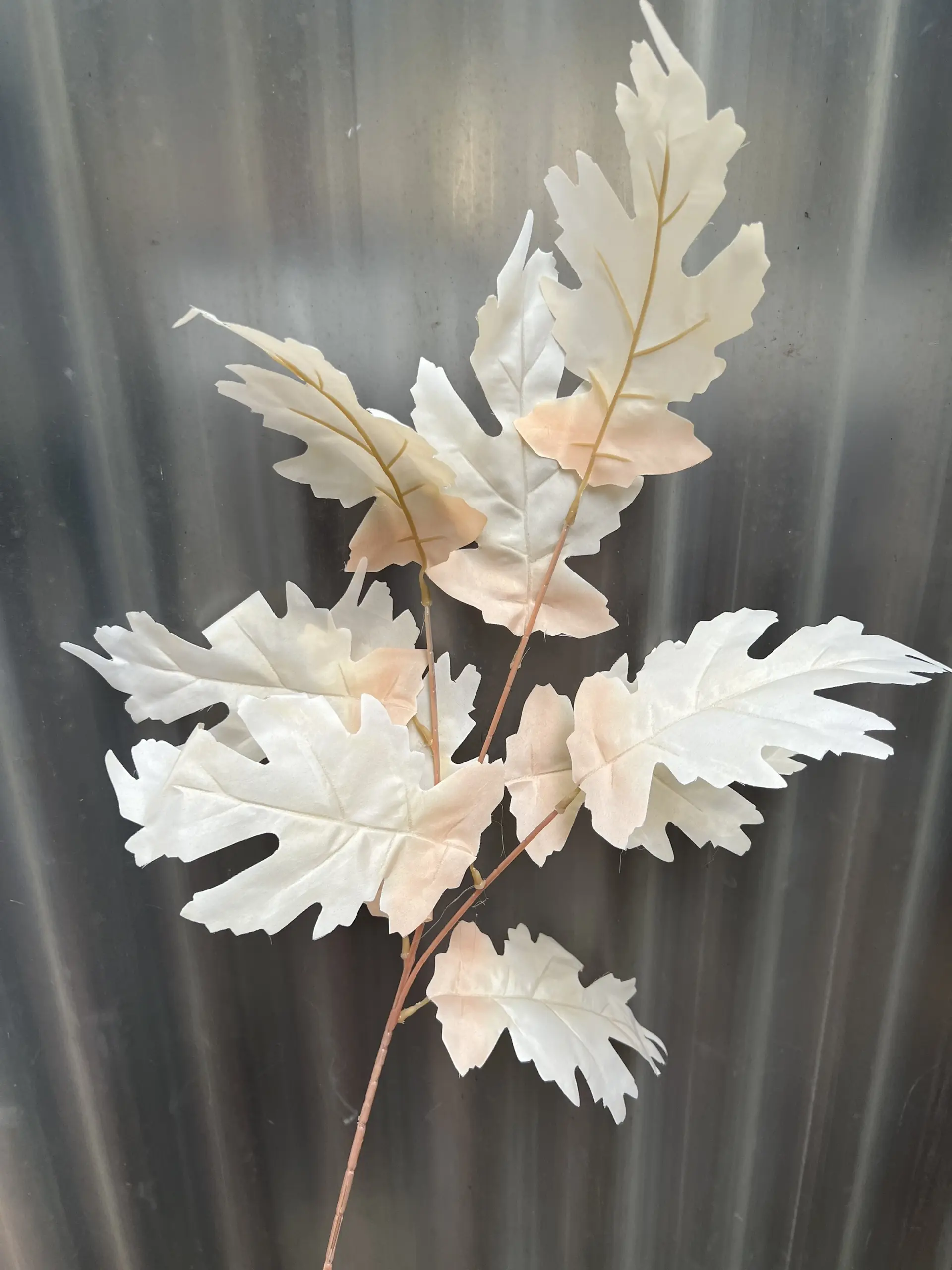 Điểm Lá Răng Cưa - Ảnh 5