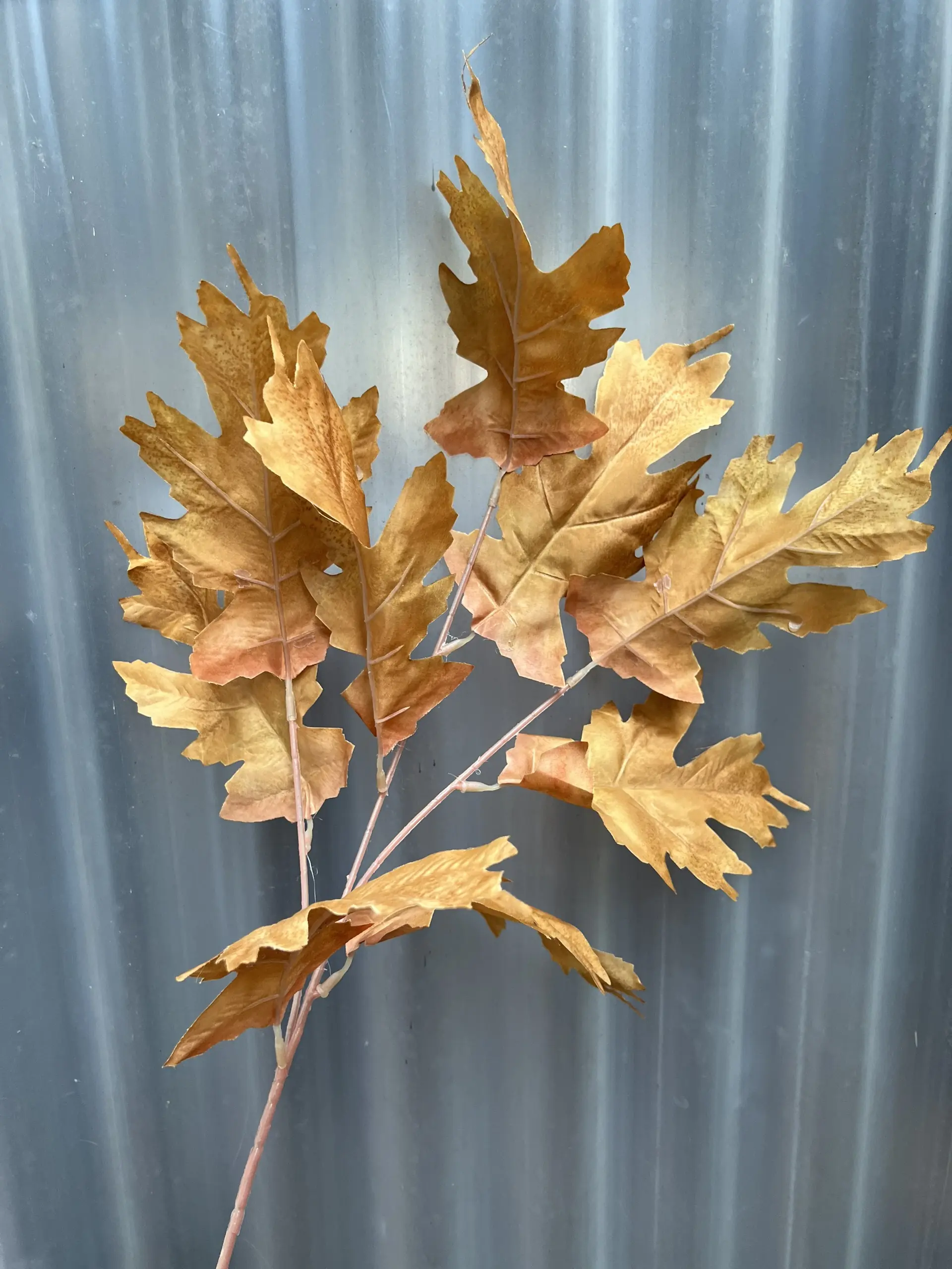 Điểm Lá Răng Cưa - Ảnh 6