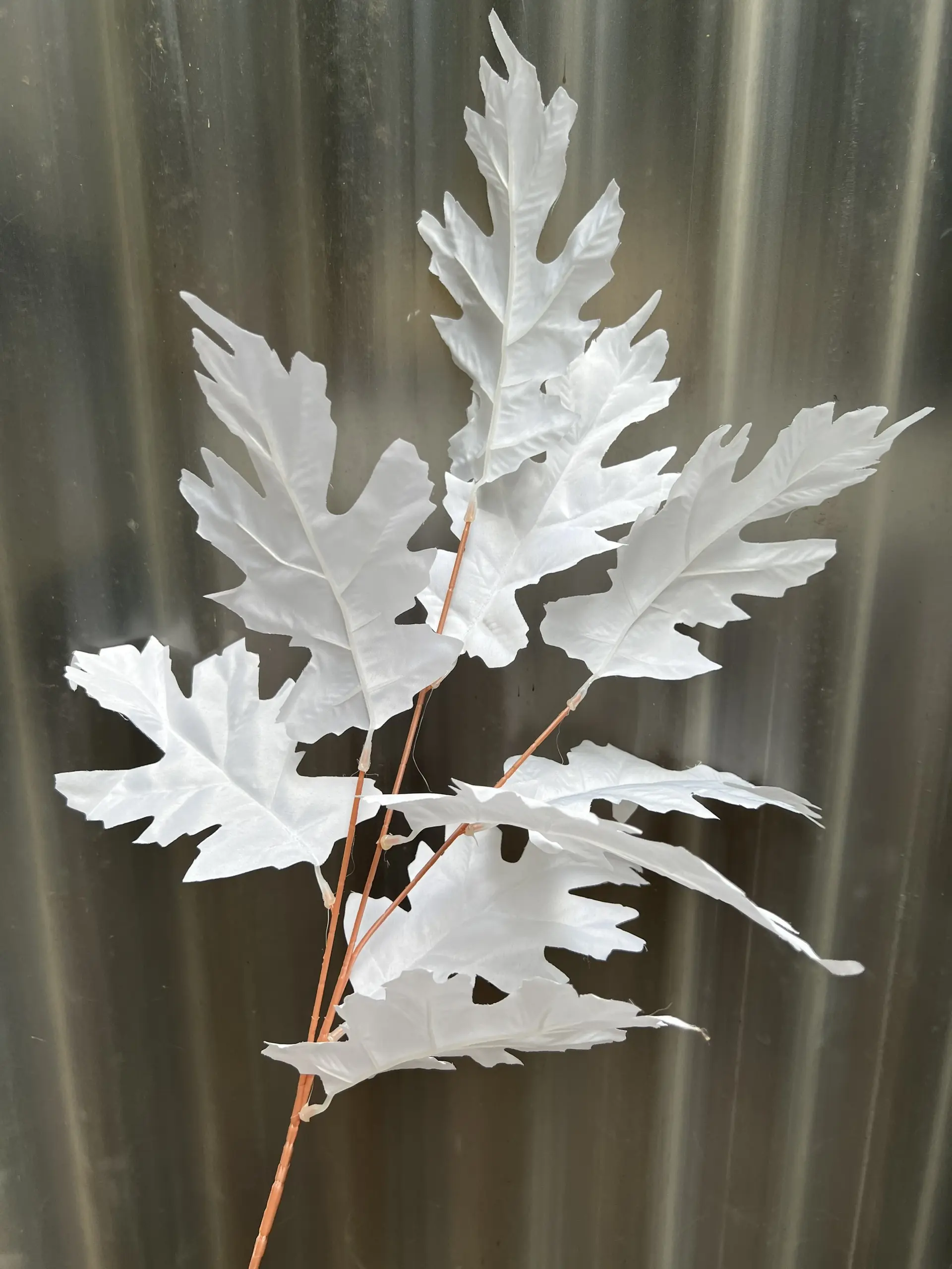 Điểm Lá Răng Cưa - Ảnh 7