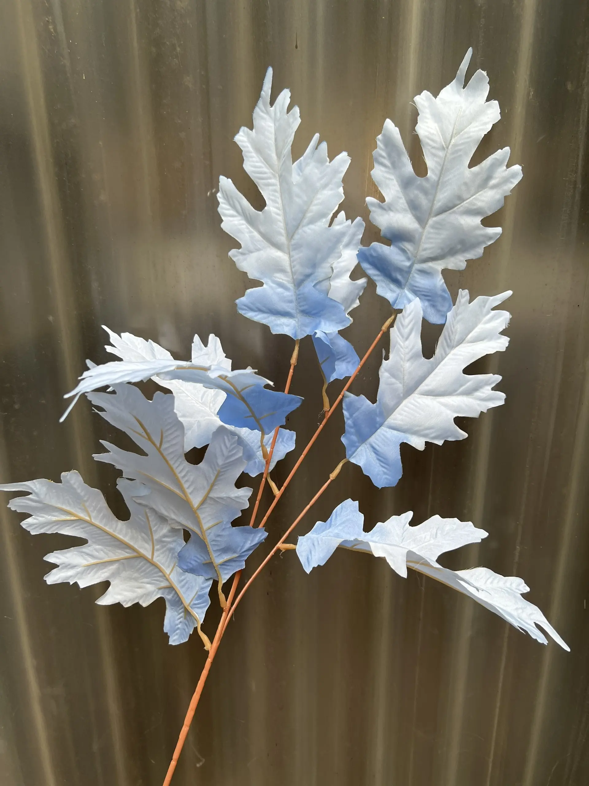 Điểm Lá Răng Cưa - Ảnh 8