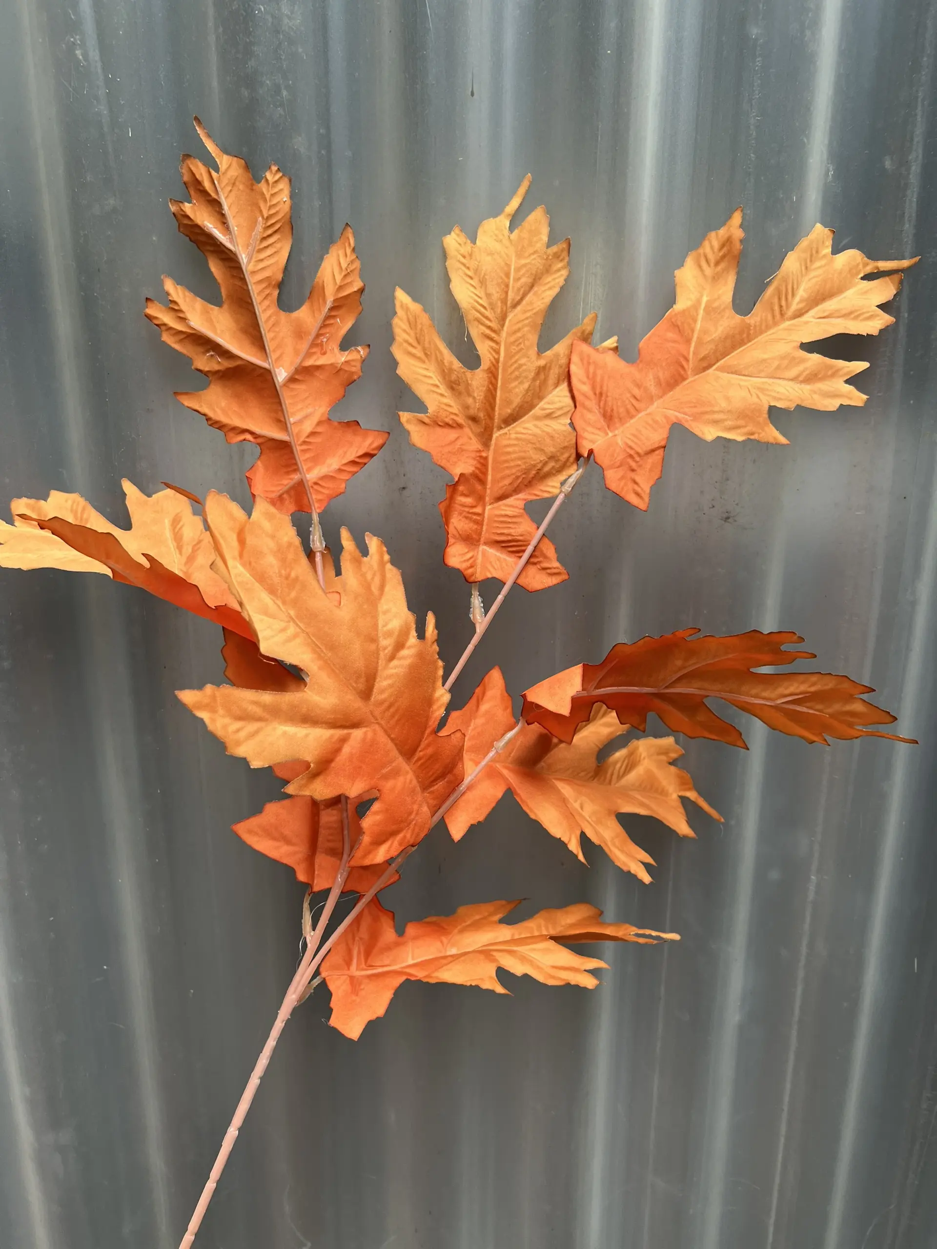 Điểm Lá Răng Cưa - Ảnh 9