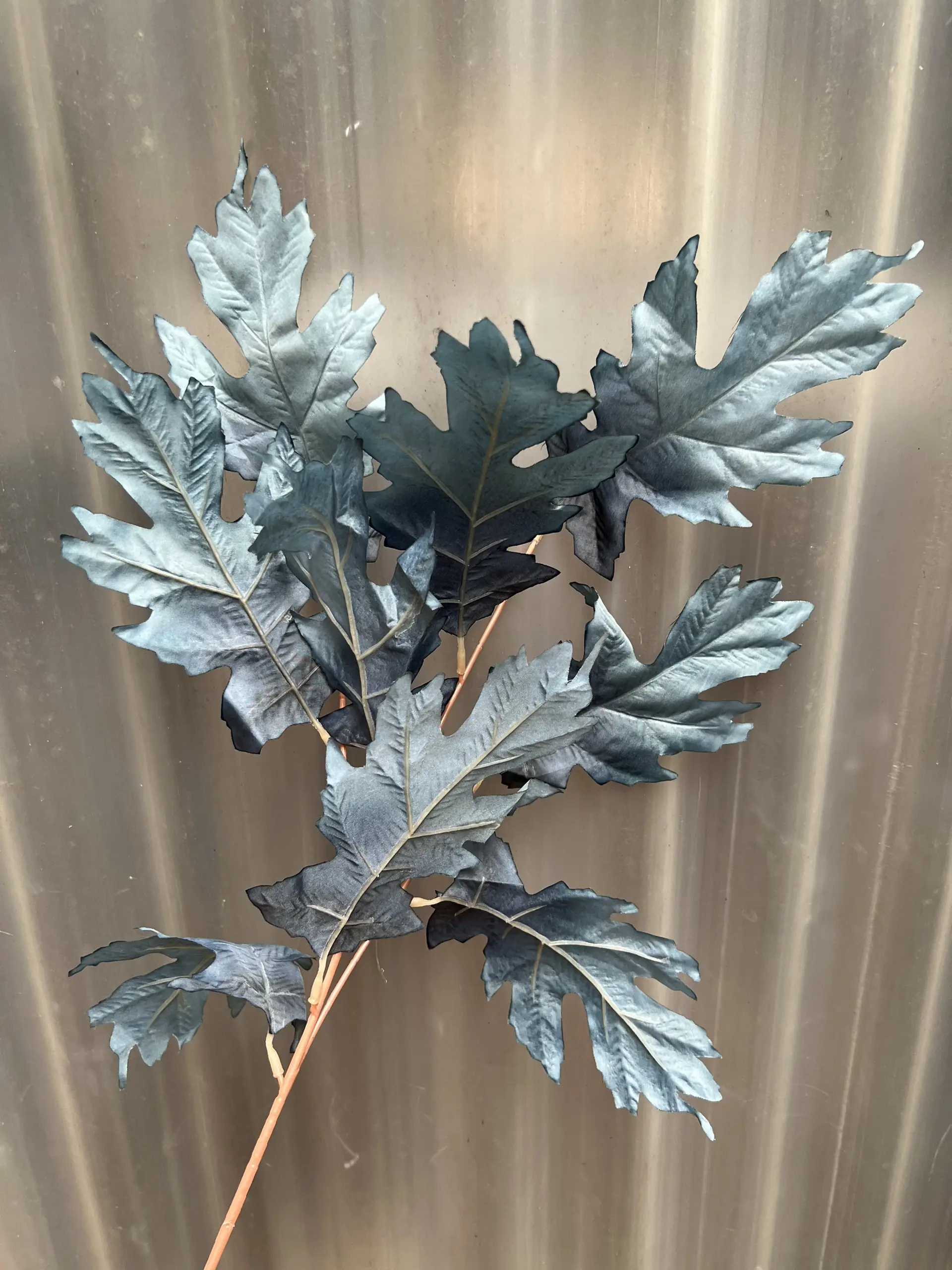 Điểm Lá Răng Cưa - Ảnh 10