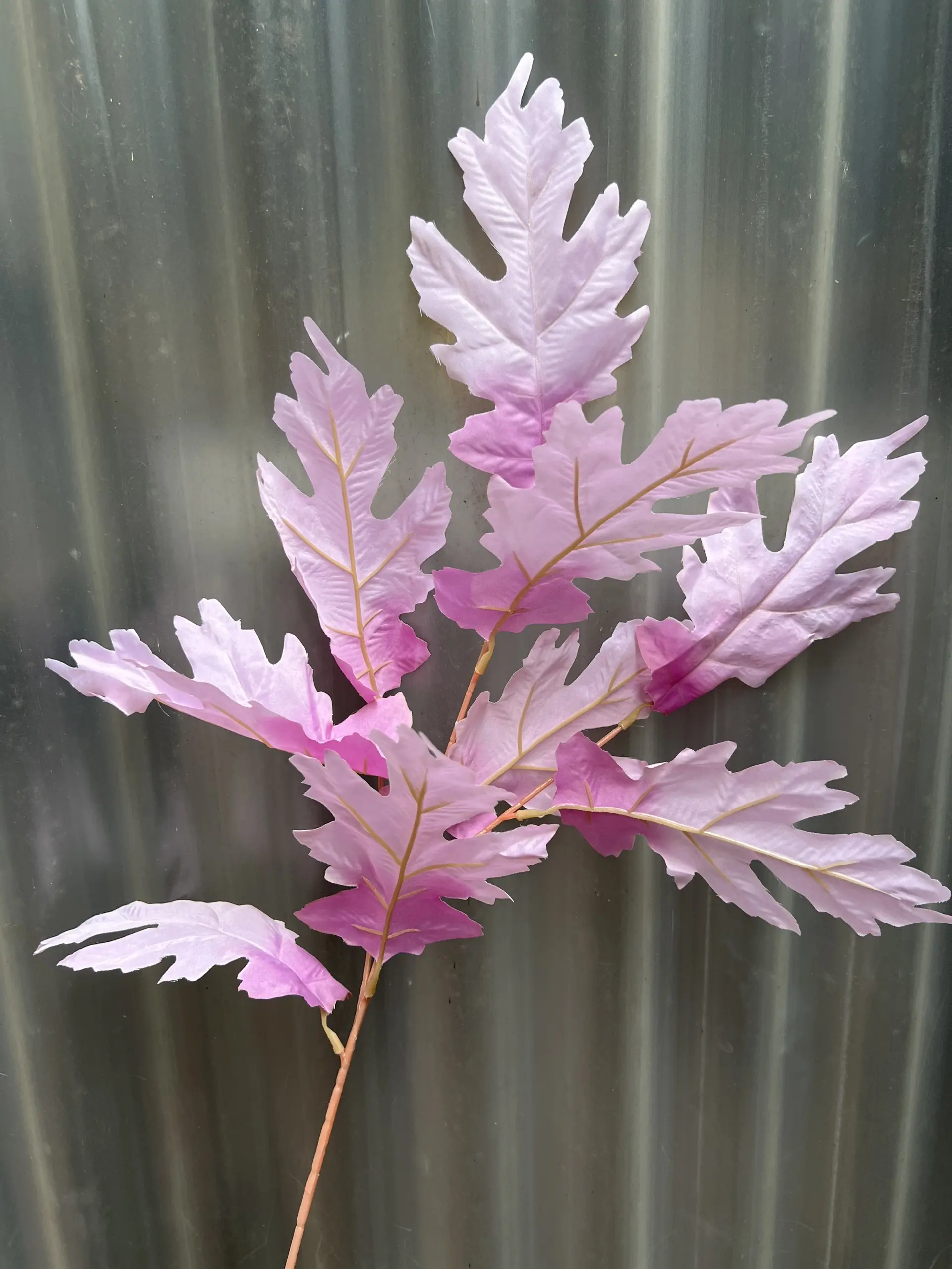 Điểm Lá Răng Cưa - Ảnh 11