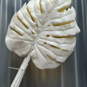 Điểm Lá Rùa Màu