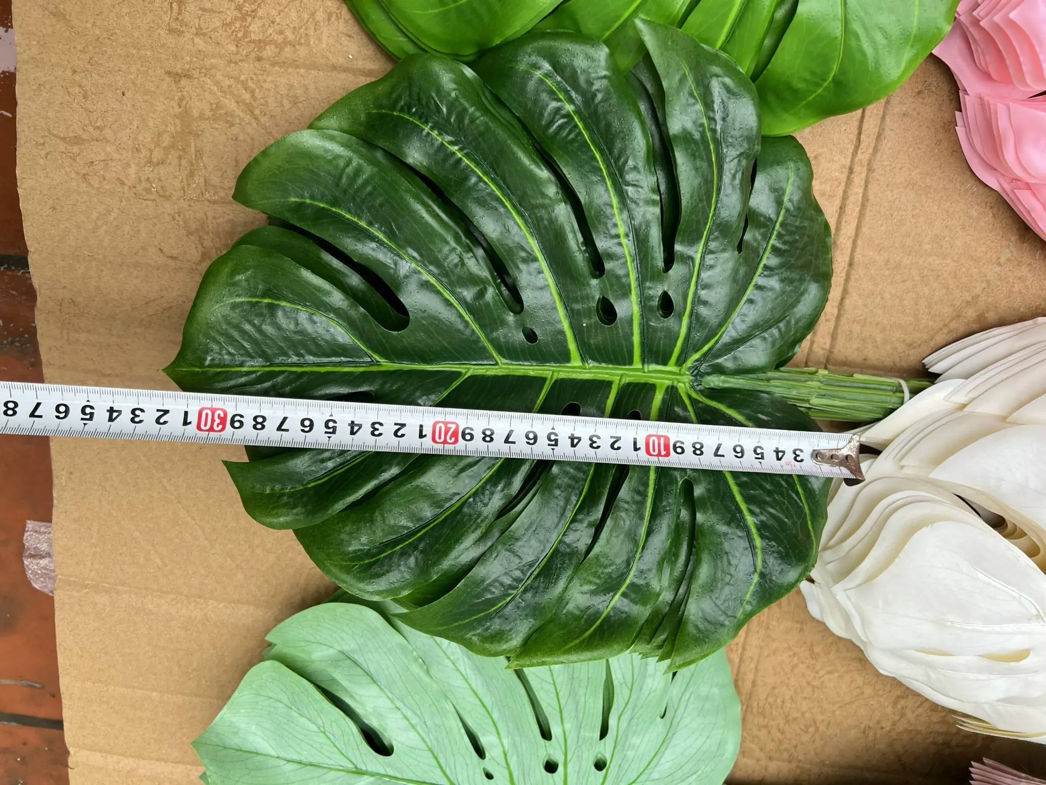 Điểm Lá Rùa Màu - Ảnh 2