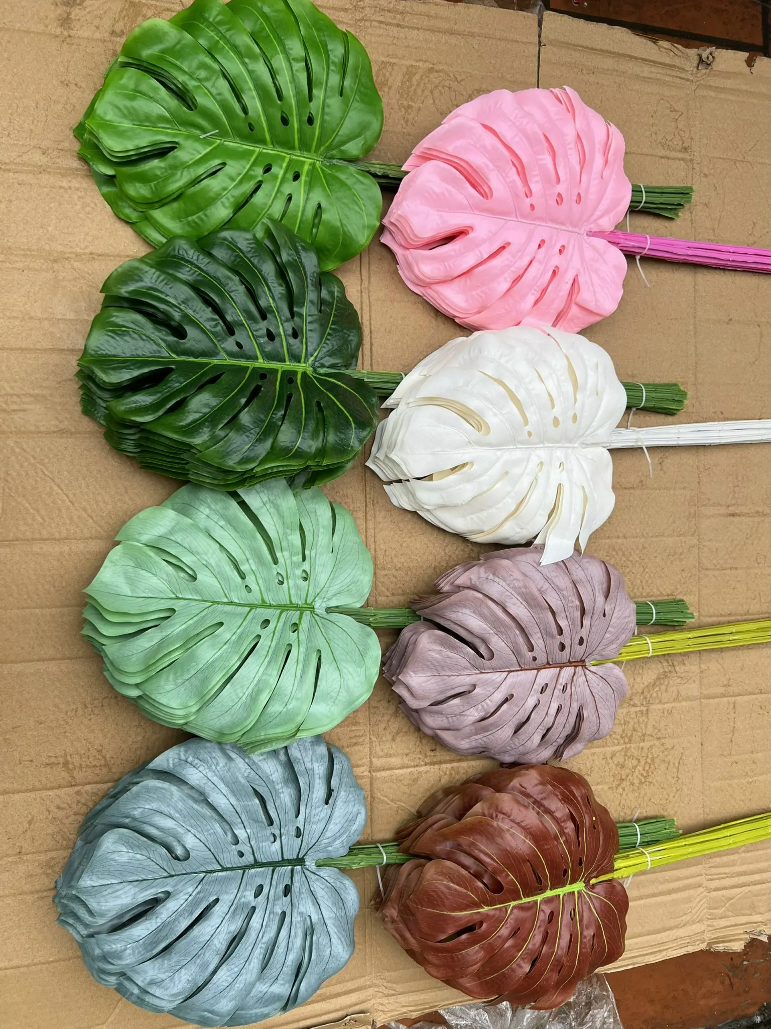 Điểm Lá Rùa Màu - Ảnh 9