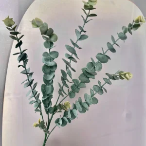 Điểm Lá Táo Cao Su Hàng Đẹp Về Thêm Sll 16K_1