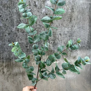 Điểm Lá Táo Đôla Vip 5 Nhánh