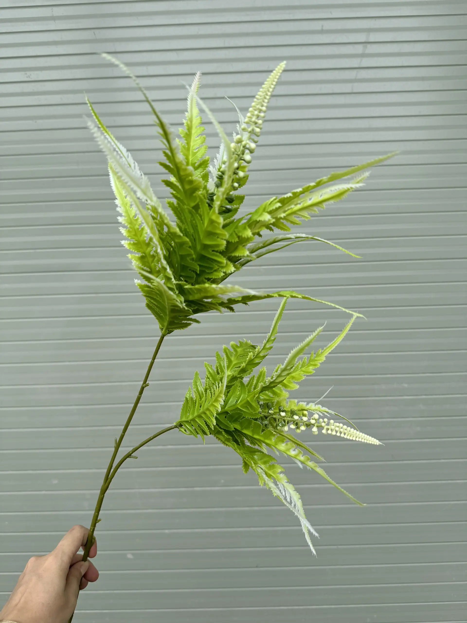 Điểm Lá Thạch Tùng - Ảnh 9