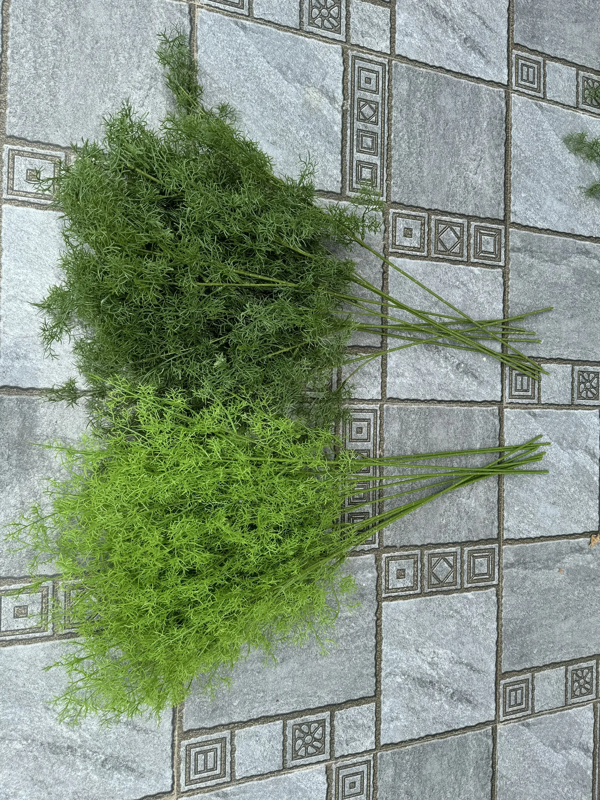 Điểm Lá Thì Là - Ảnh 5